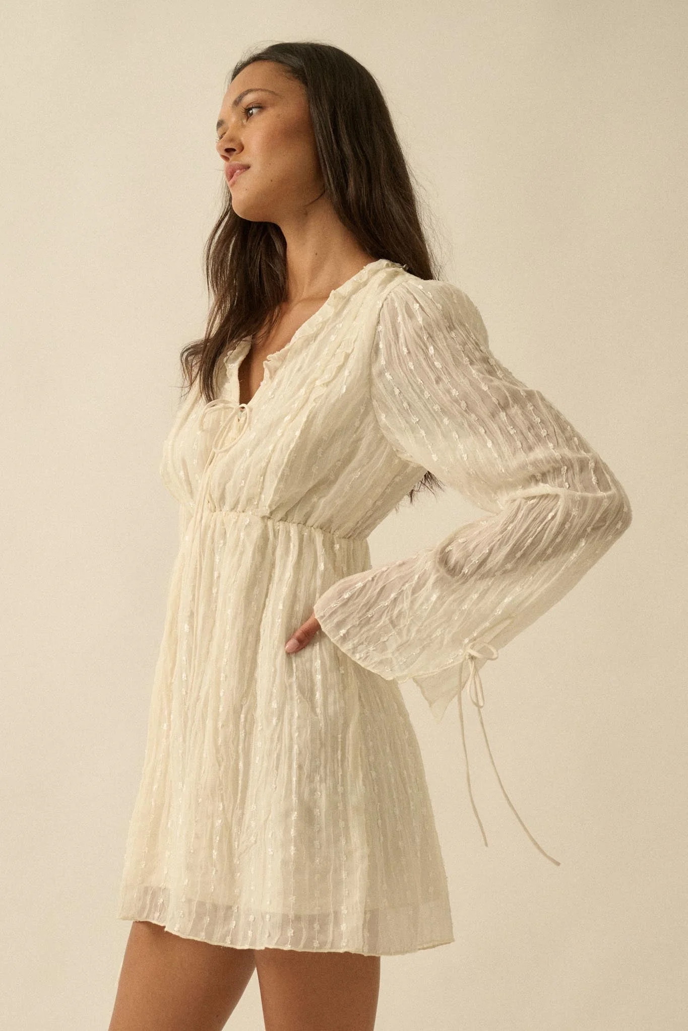 Angelic Beauty Embroidered Chiffon Mini Dress - Image 6