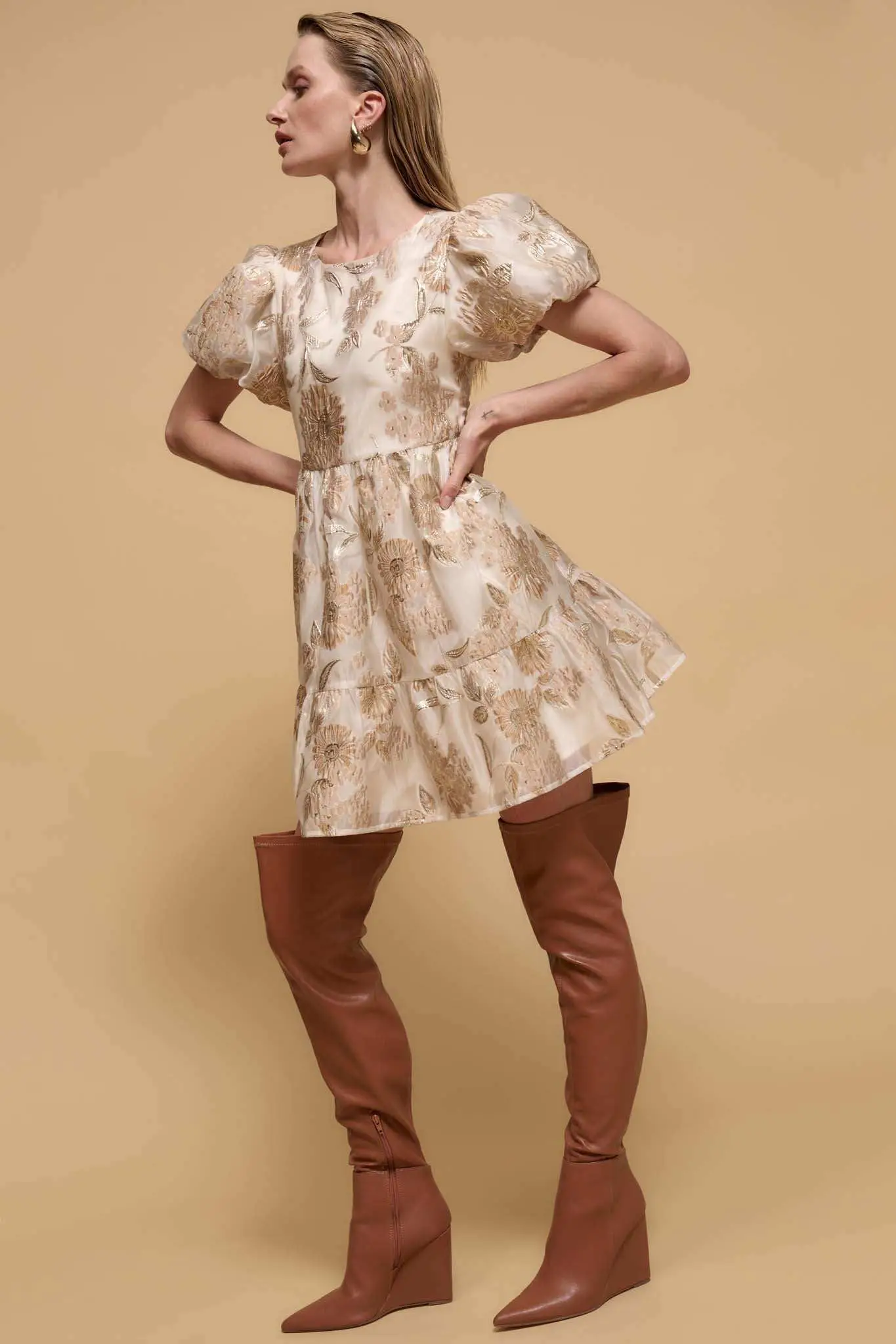 Golden Grove Metallic Floral Brocade Mini Dress - Image 2