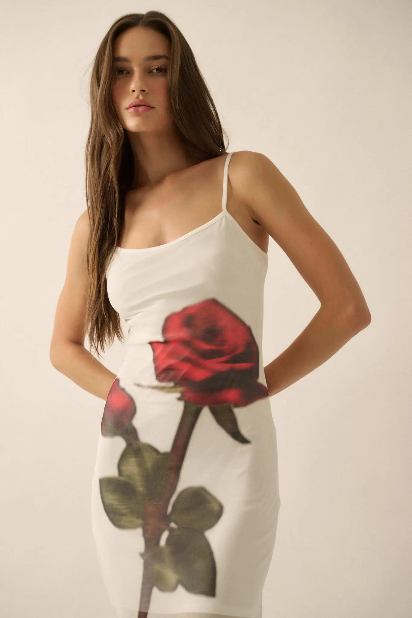 Kiss From a Rose Printed Mesh Layered Maxi Dress - Image 10