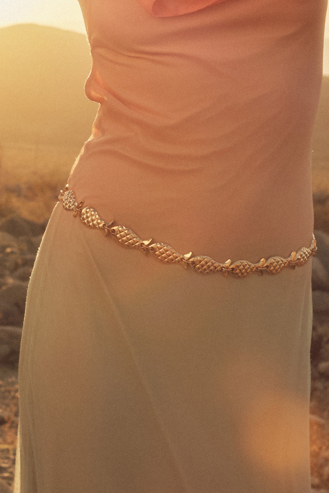 Morro Bay Gold Fish Link Chain Belt - Image 2