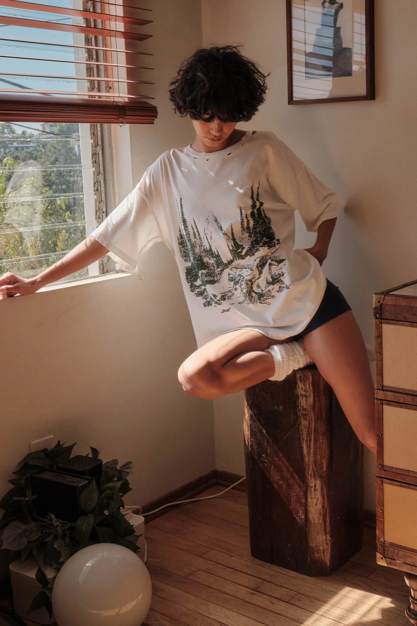 Mustang Mountain Distressed Oversize Graphic Tee - Image 4